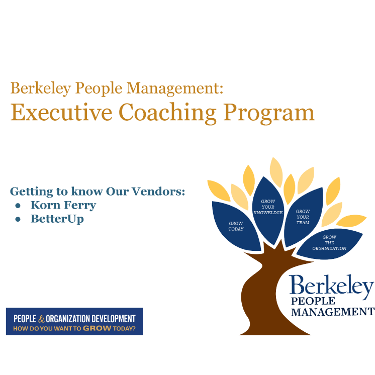 Berkeley Executive Coaching Institute: Your Path to Transformational Leadership