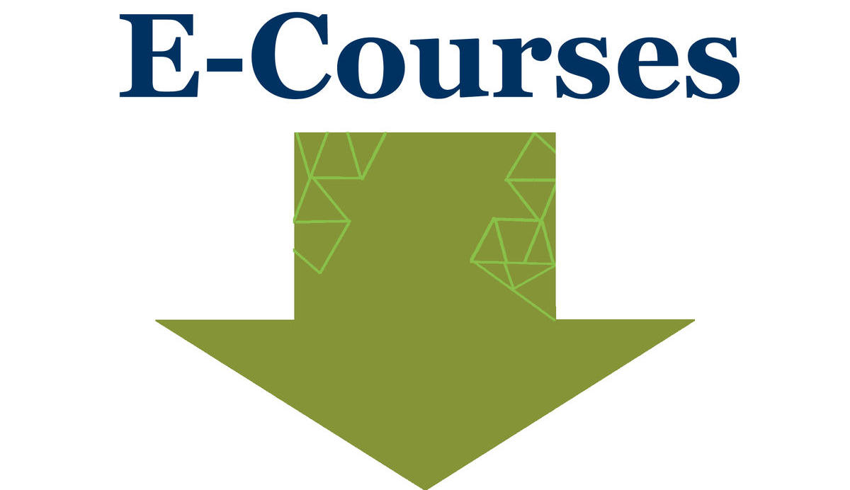 E-Courses Below