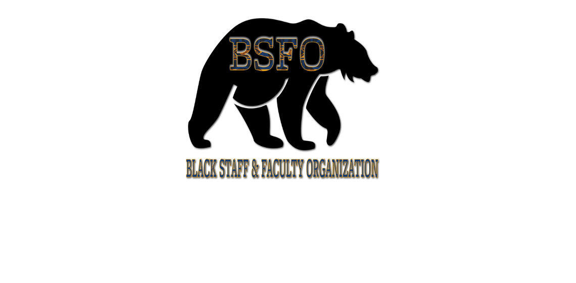 BSFO logo