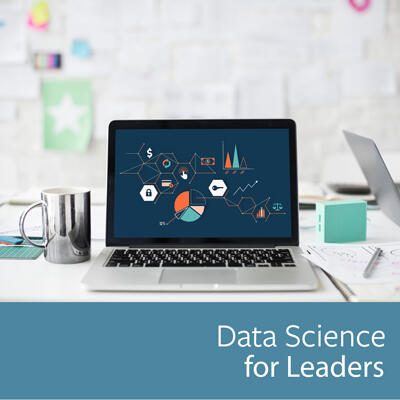Data Science for Leaders image
