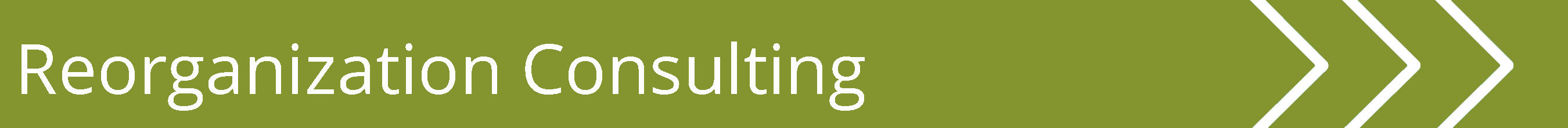 Reorganization Consulting banner