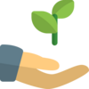 Icon of a growing plant in a hand